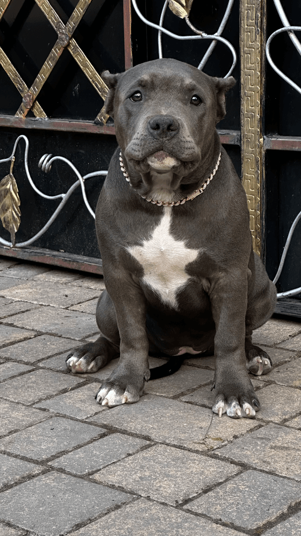 carousel-image-mobile-2