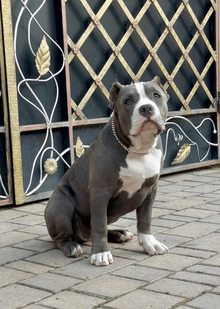 carousel-image-mobile-3