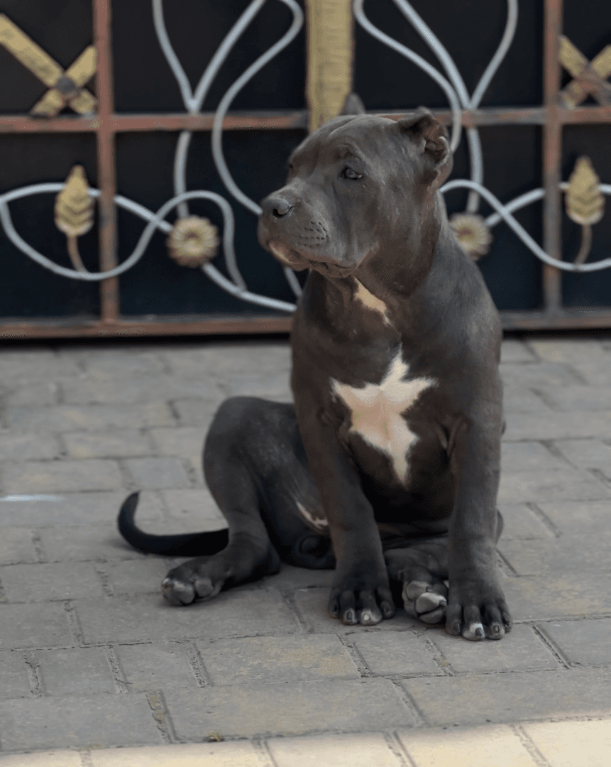 carousel-image-mobile-4