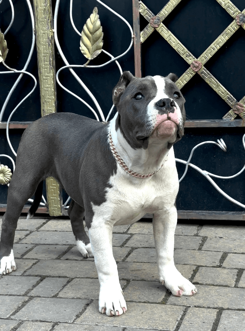 carousel-image-mobile-5