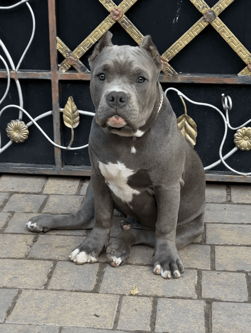 carousel-image-mobile-6