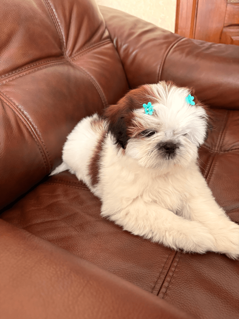 carousel-image-mobile-1