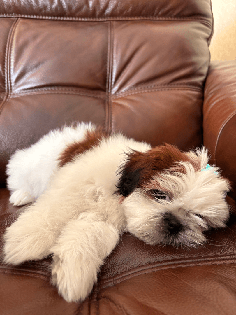 carousel-image-mobile-2