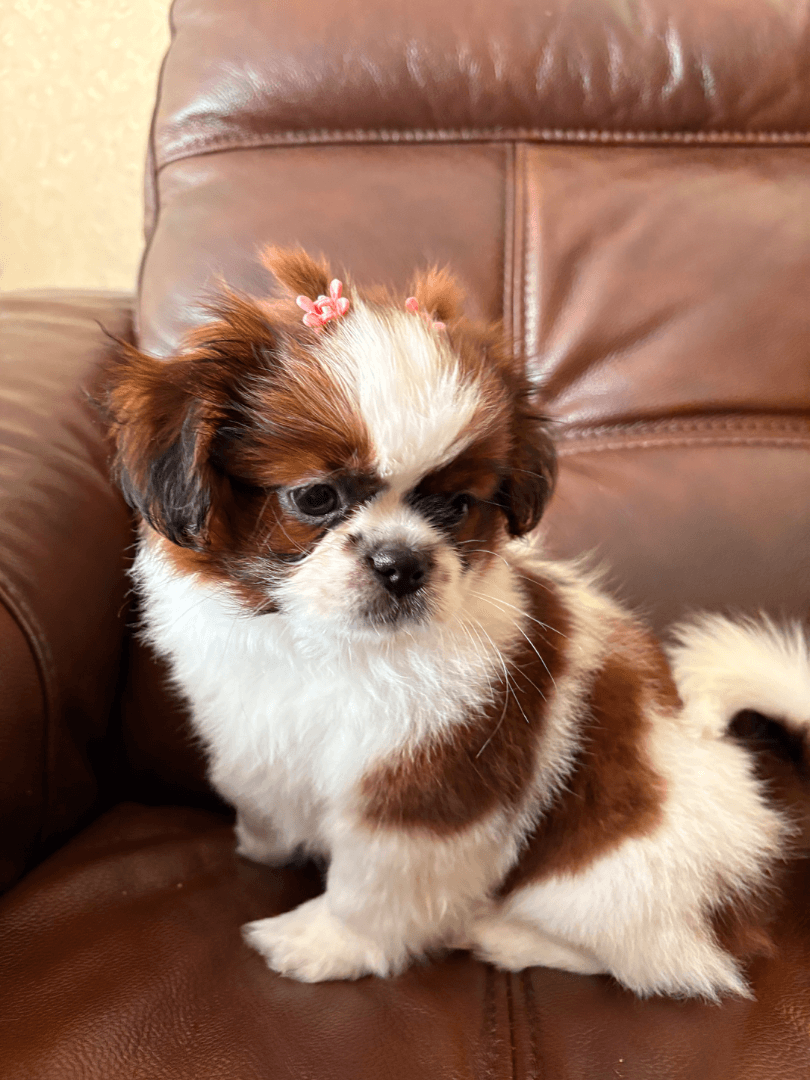 carousel-image-mobile-3