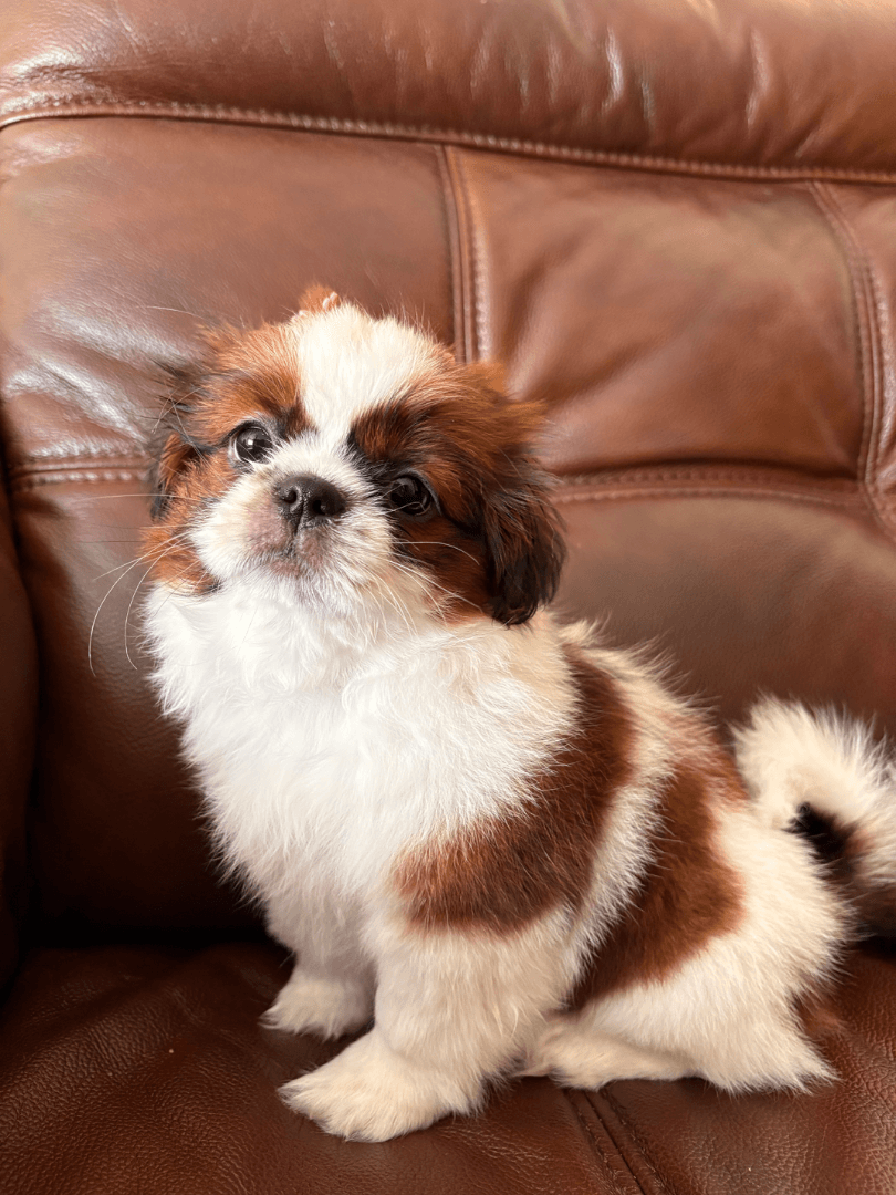 carousel-image-mobile-4