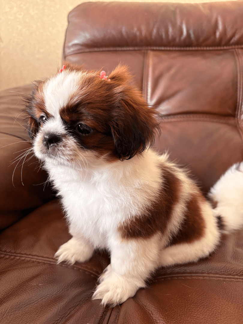 carousel-image-mobile-5