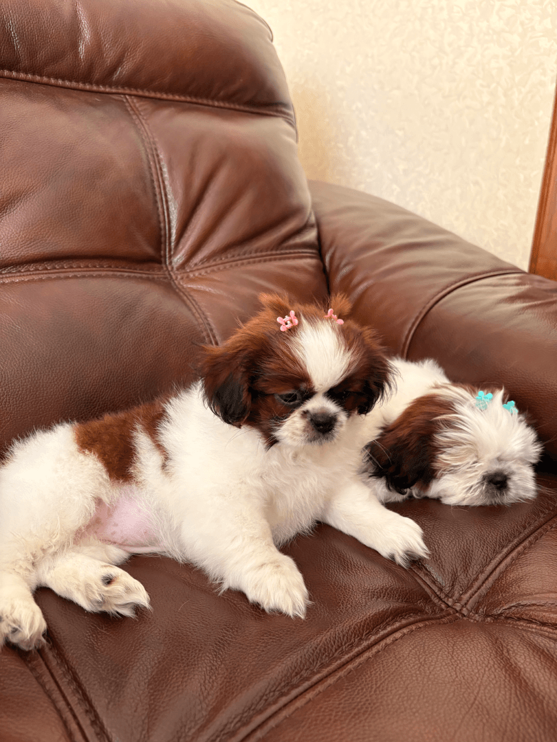 carousel-image-mobile-6