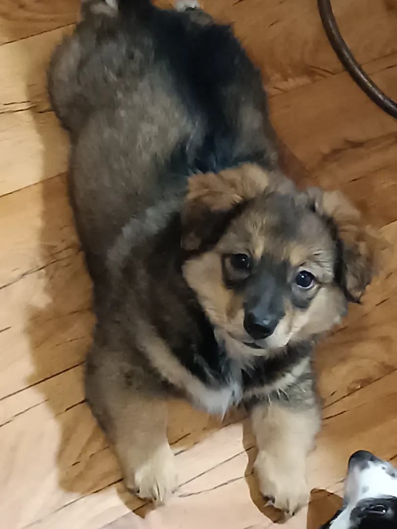 carousel-image-mobile-1