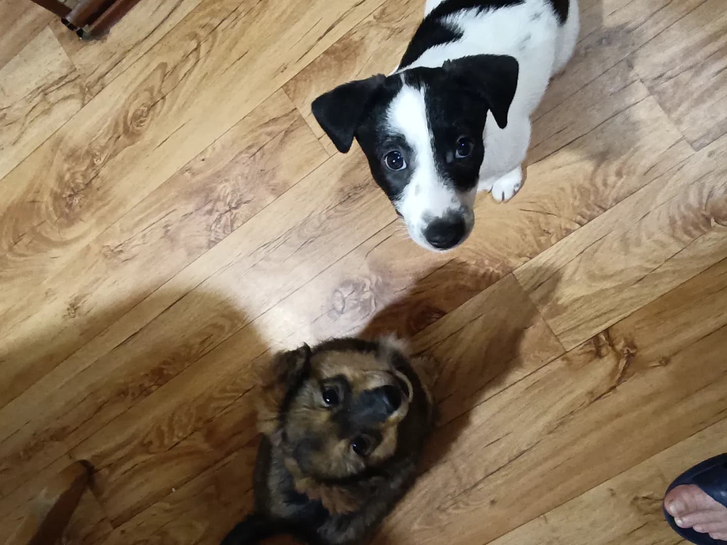 carousel-image-mobile-2