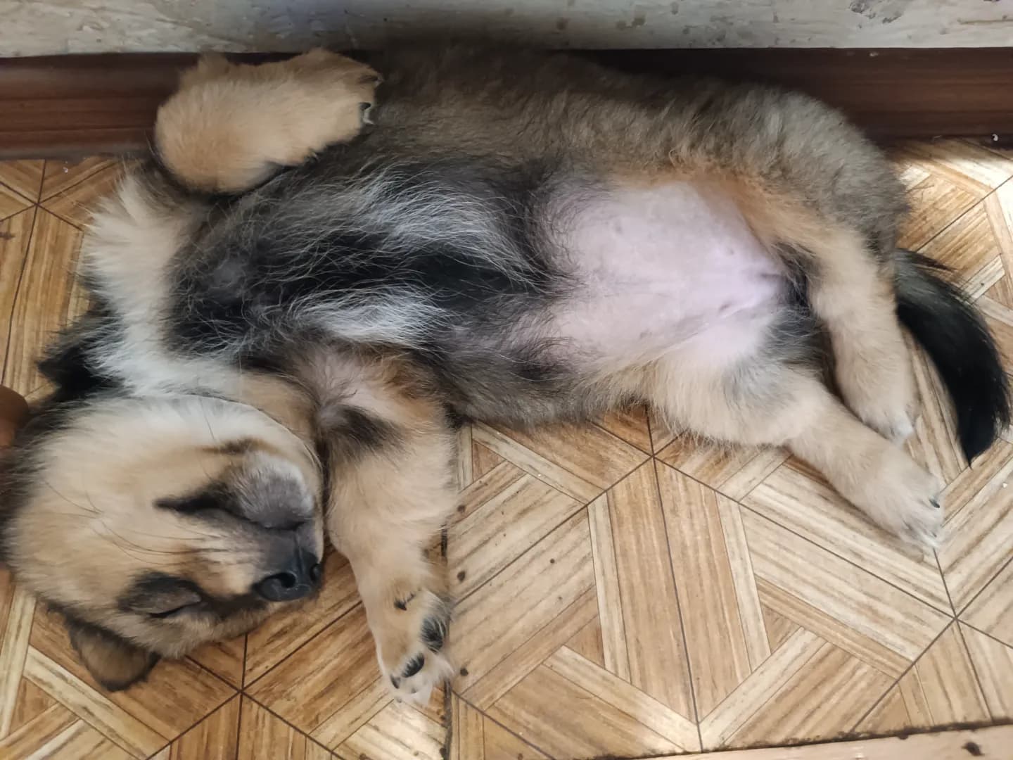 carousel-image-mobile-3