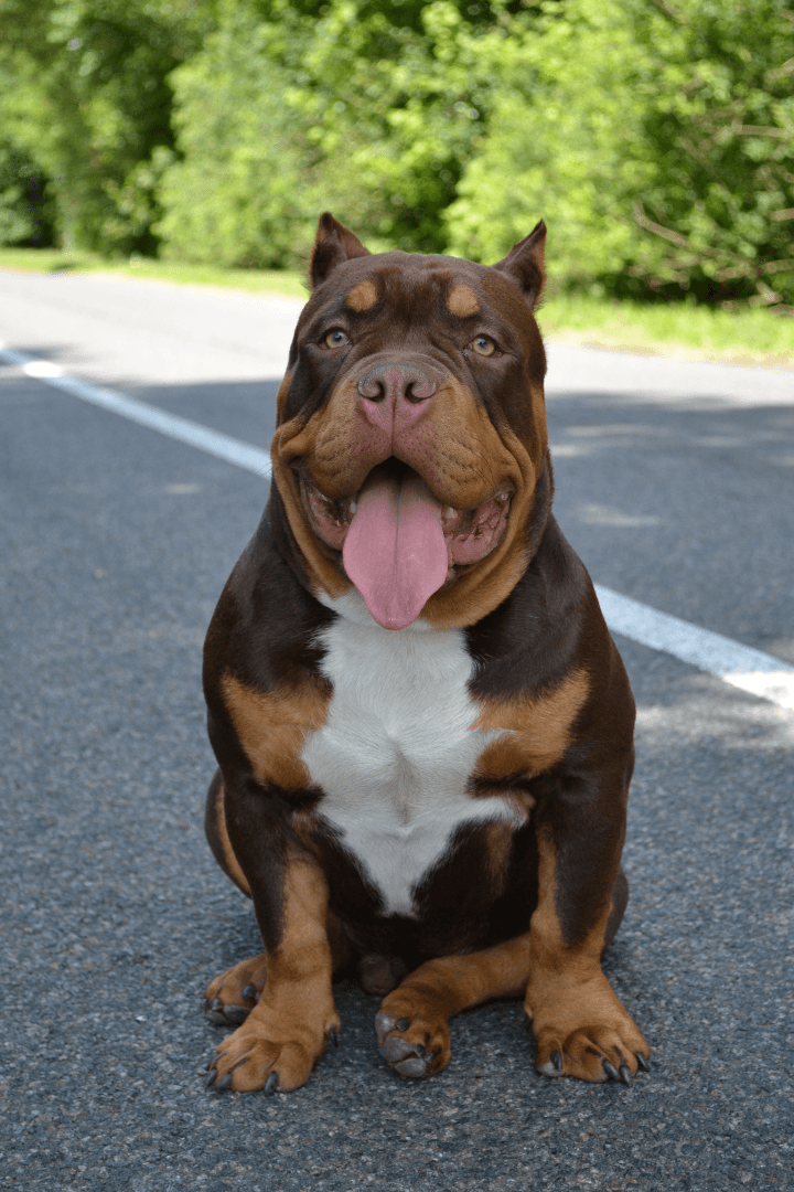 carousel-image-mobile-1