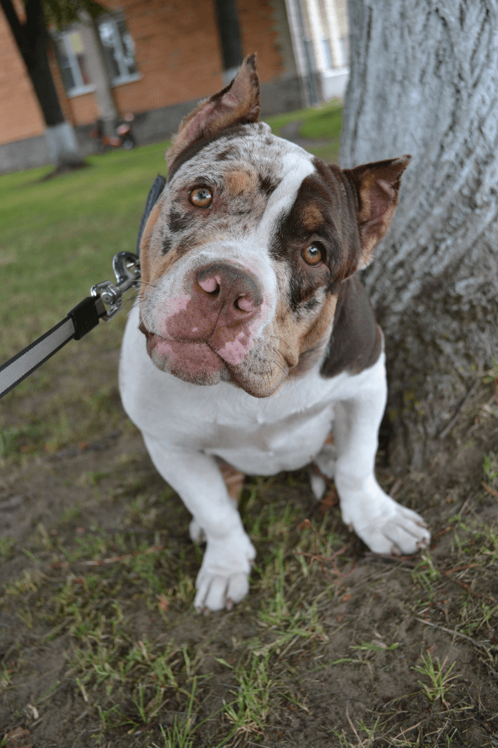 carousel-image-mobile-2