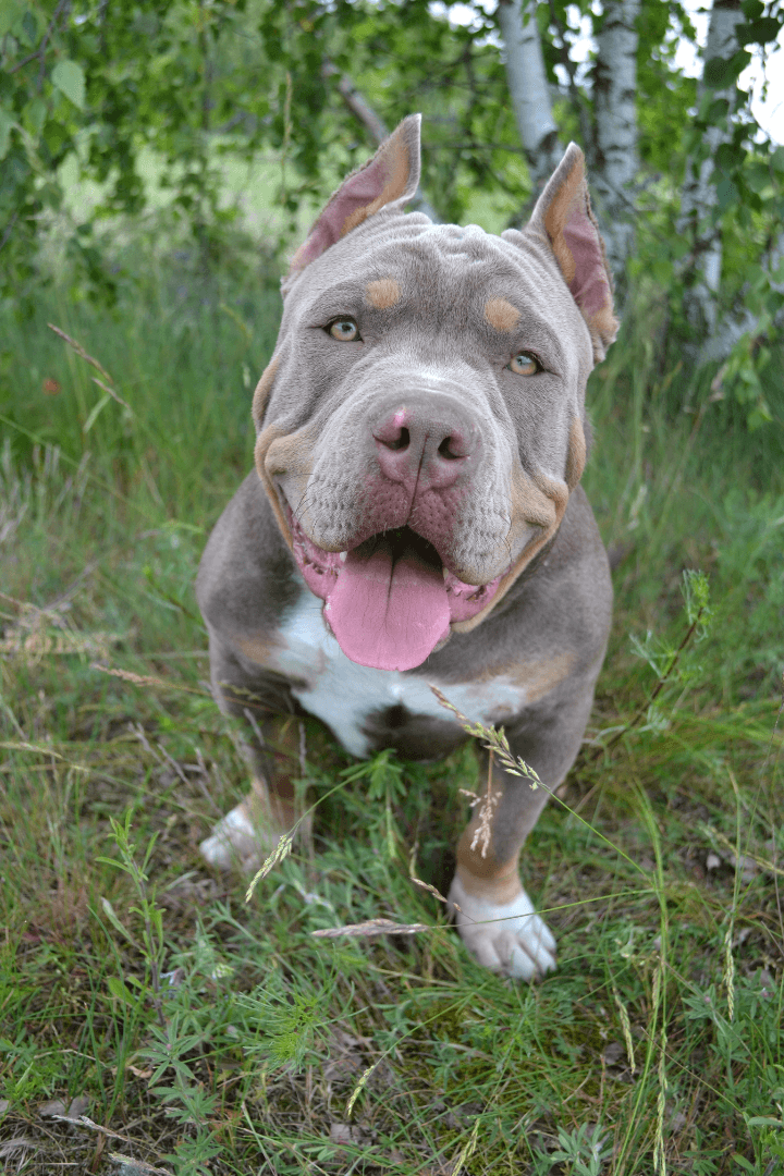 carousel-image-mobile-3