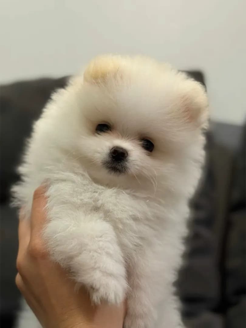 carousel-image-mobile-1