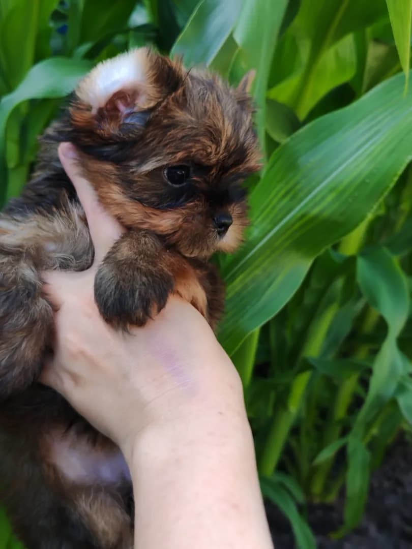 carousel-image-mobile-1