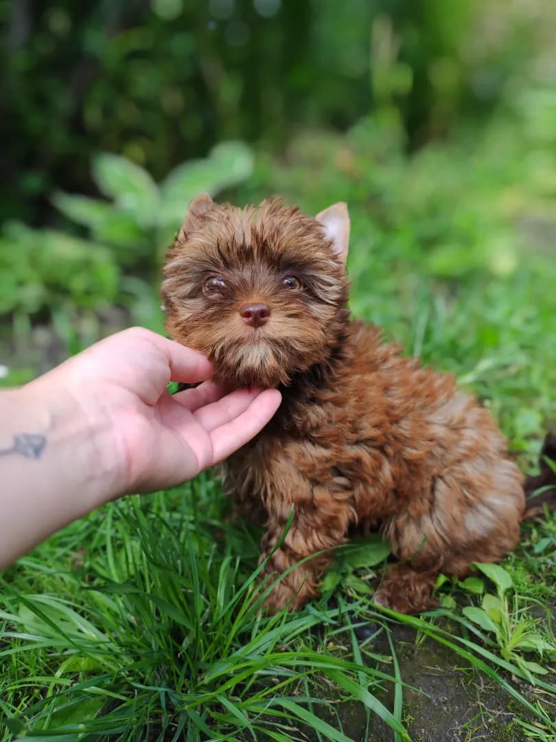 carousel-image-mobile-2