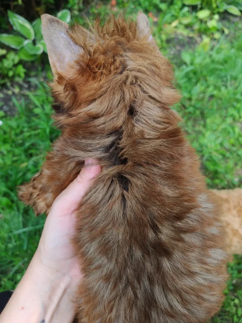 carousel-image-mobile-3