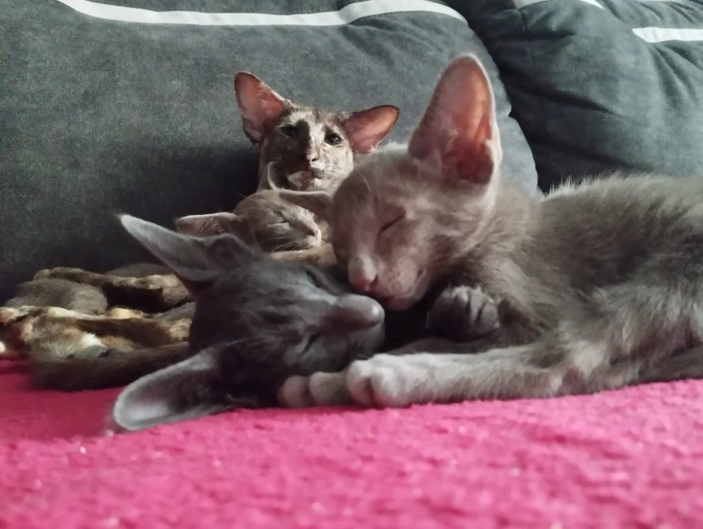 carousel-image-mobile-1