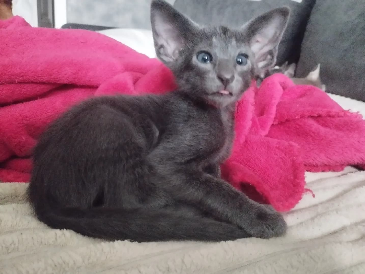 carousel-image-mobile-3