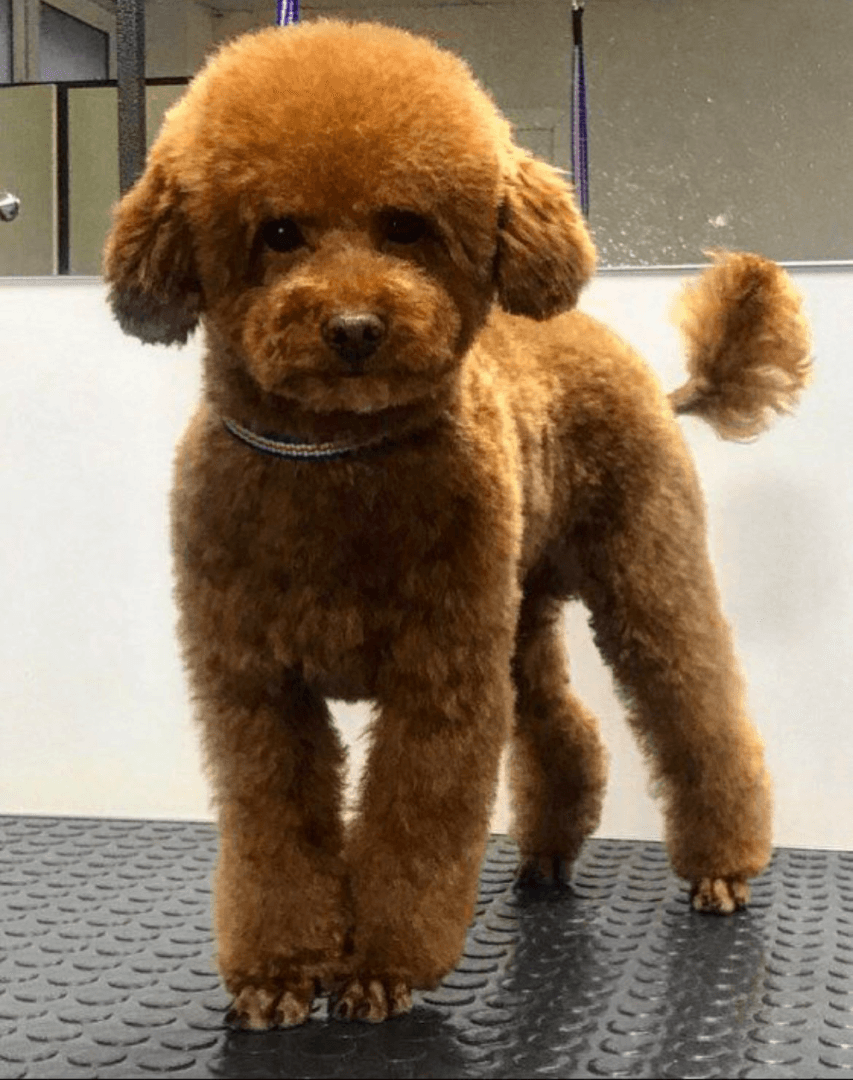 carousel-image-mobile-2