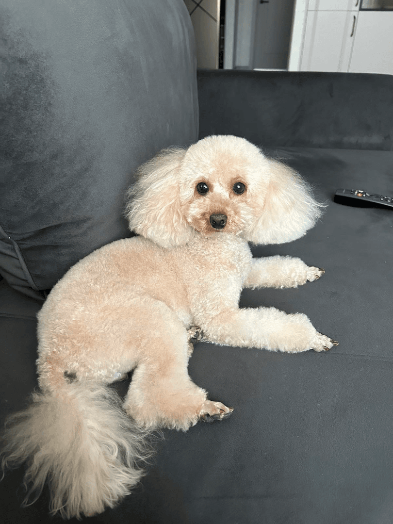 carousel-image-mobile-3