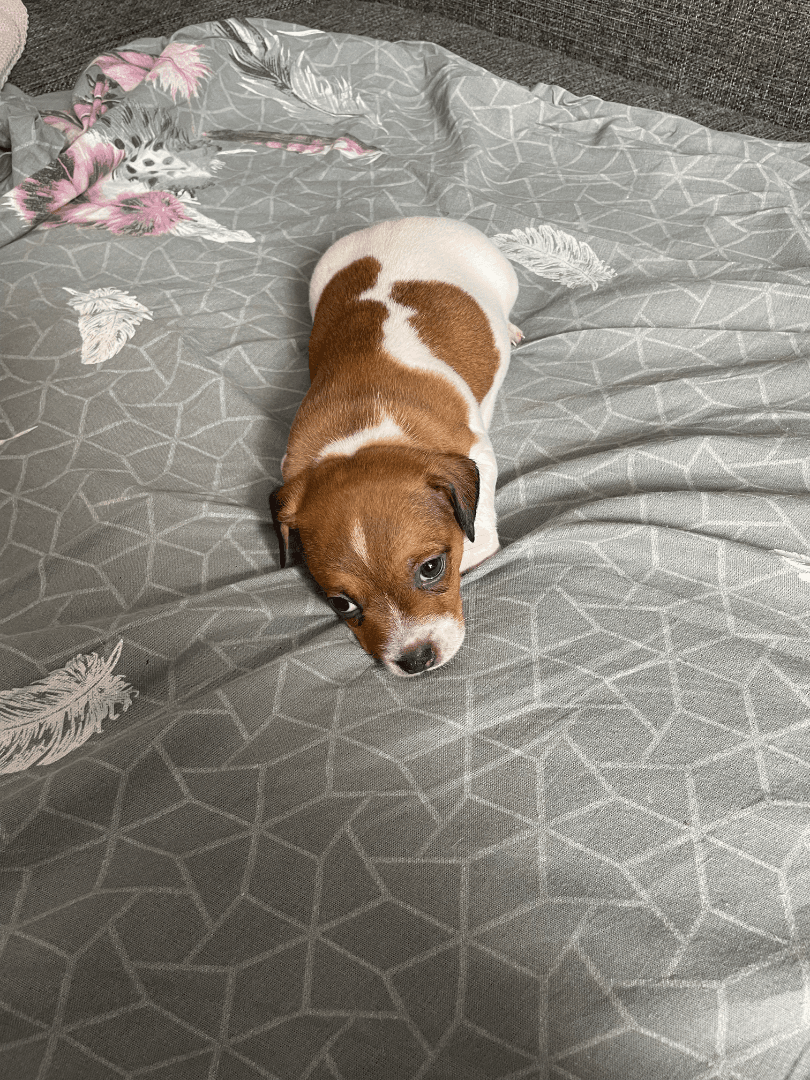 carousel-image-mobile-1