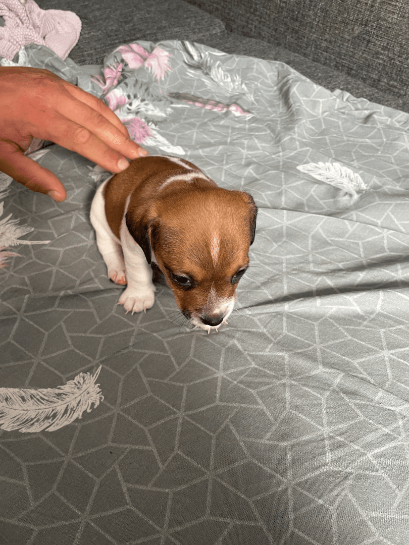 carousel-image-mobile-2