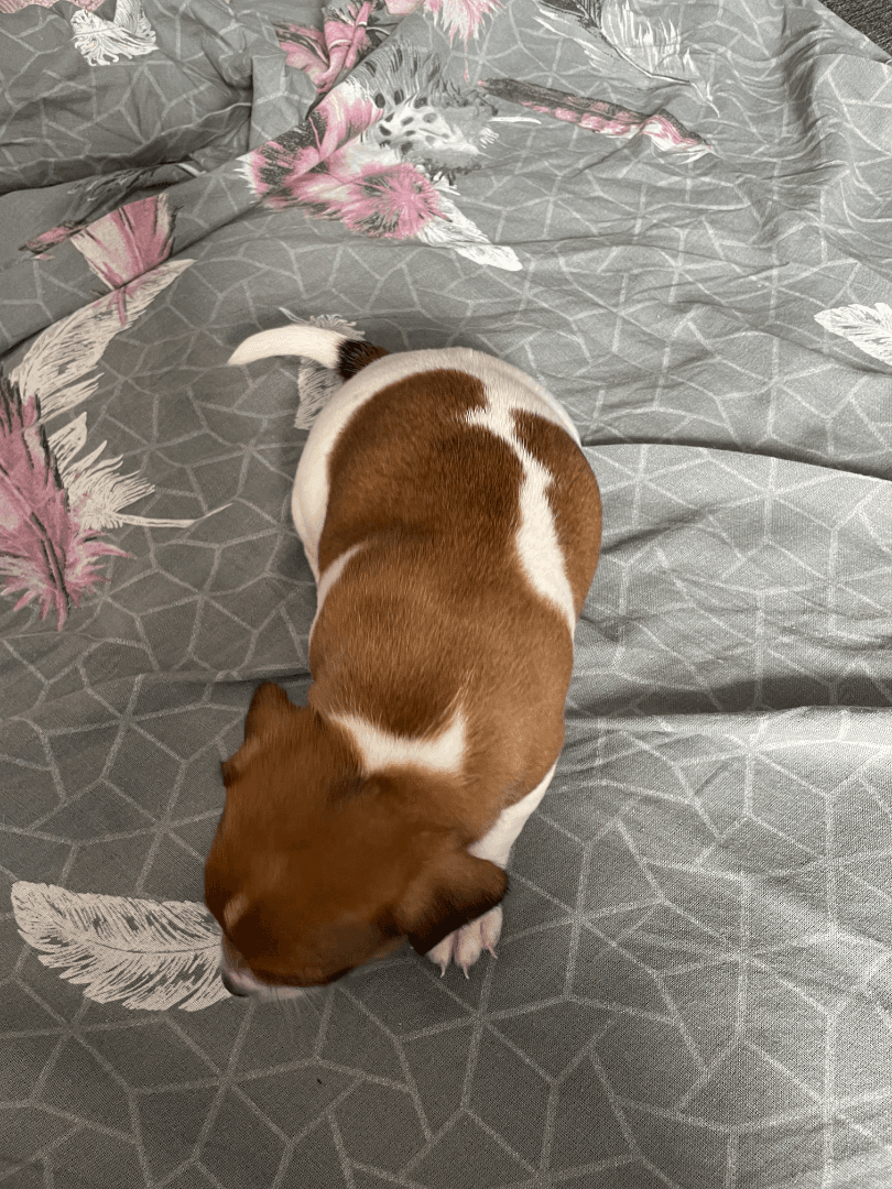 carousel-image-mobile-3