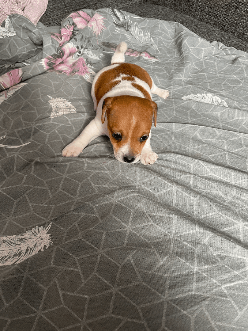 carousel-image-mobile-4