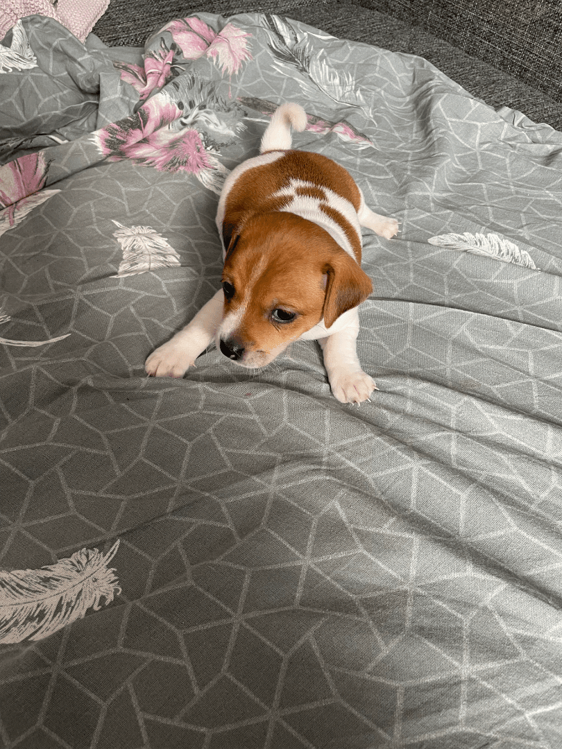 carousel-image-mobile-5