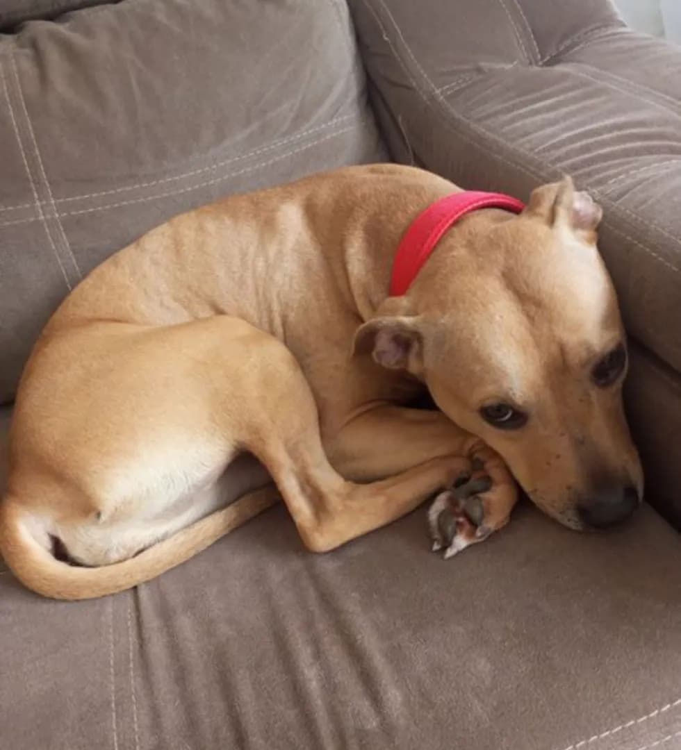 carousel-image-mobile-1