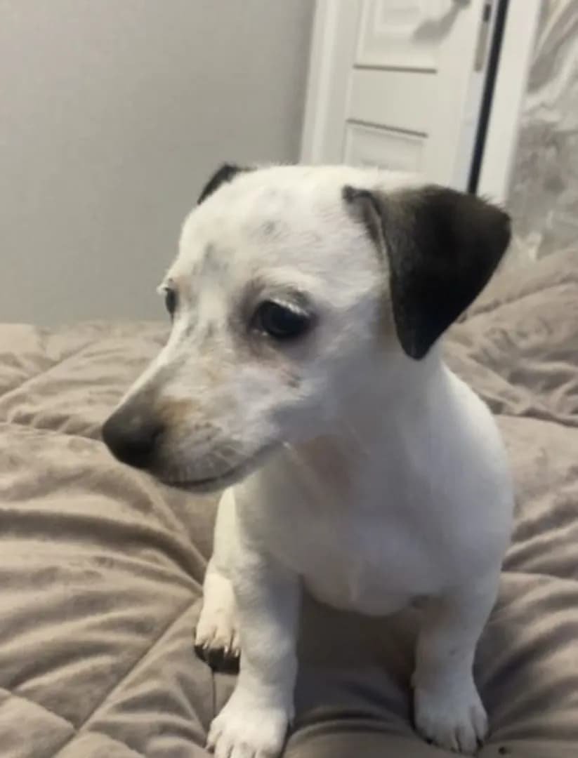 carousel-image-mobile-1