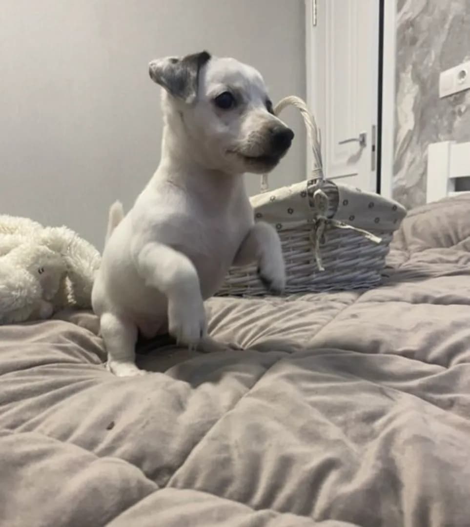 carousel-image-mobile-2