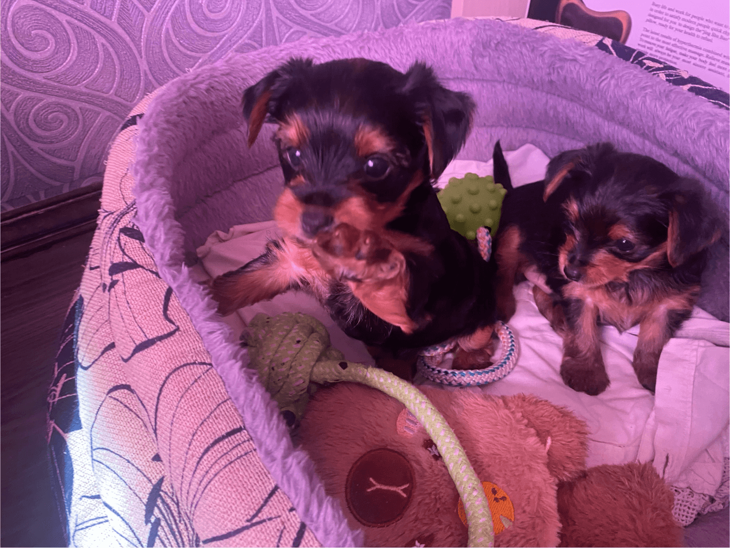 carousel-image-mobile-1