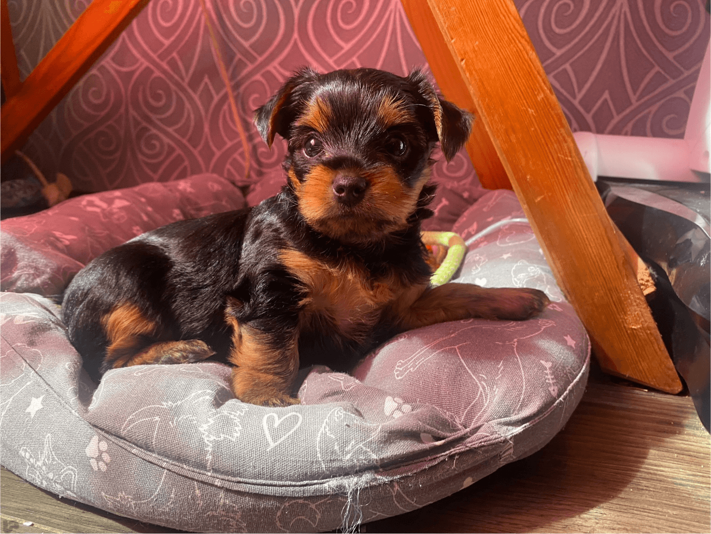 carousel-image-mobile-2