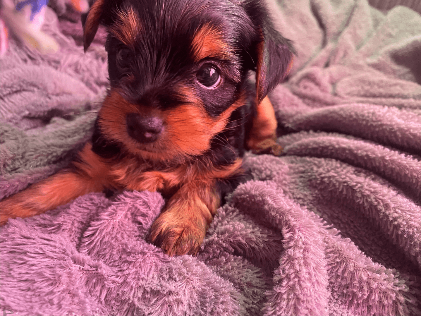 carousel-image-mobile-3