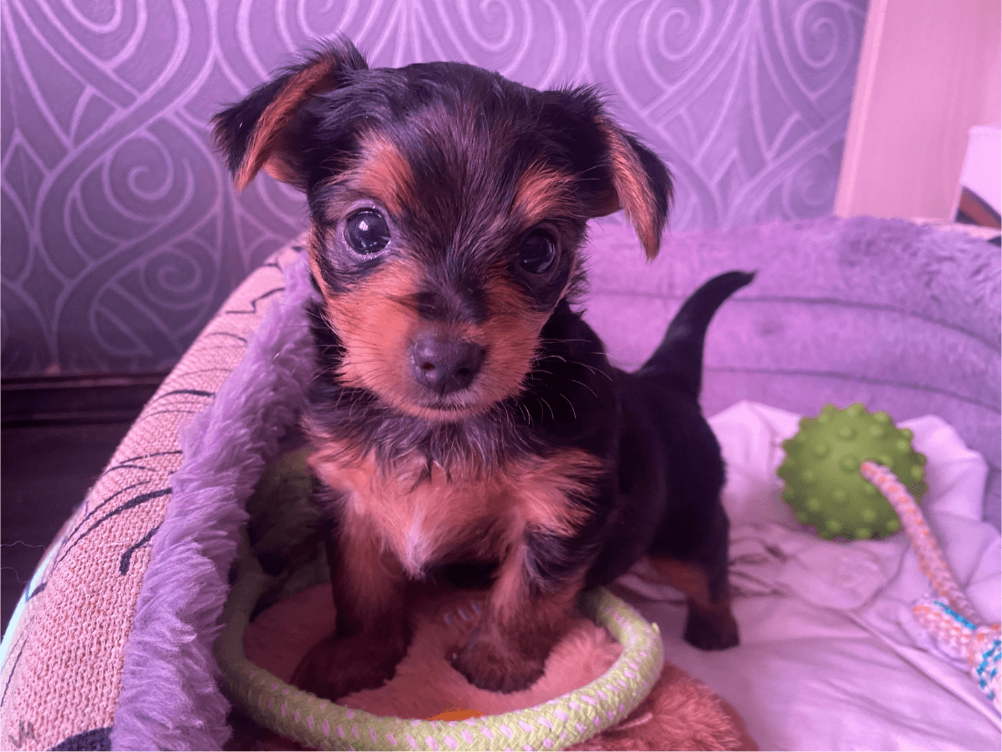 carousel-image-mobile-5