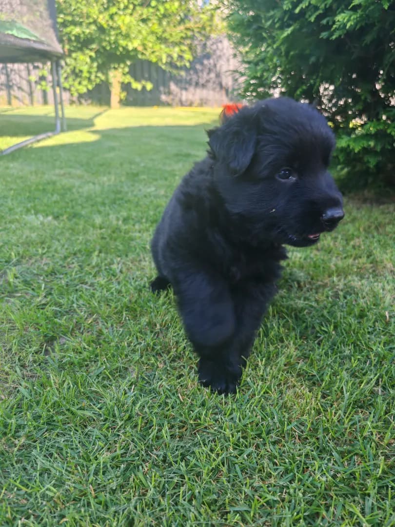 carousel-image-mobile-1