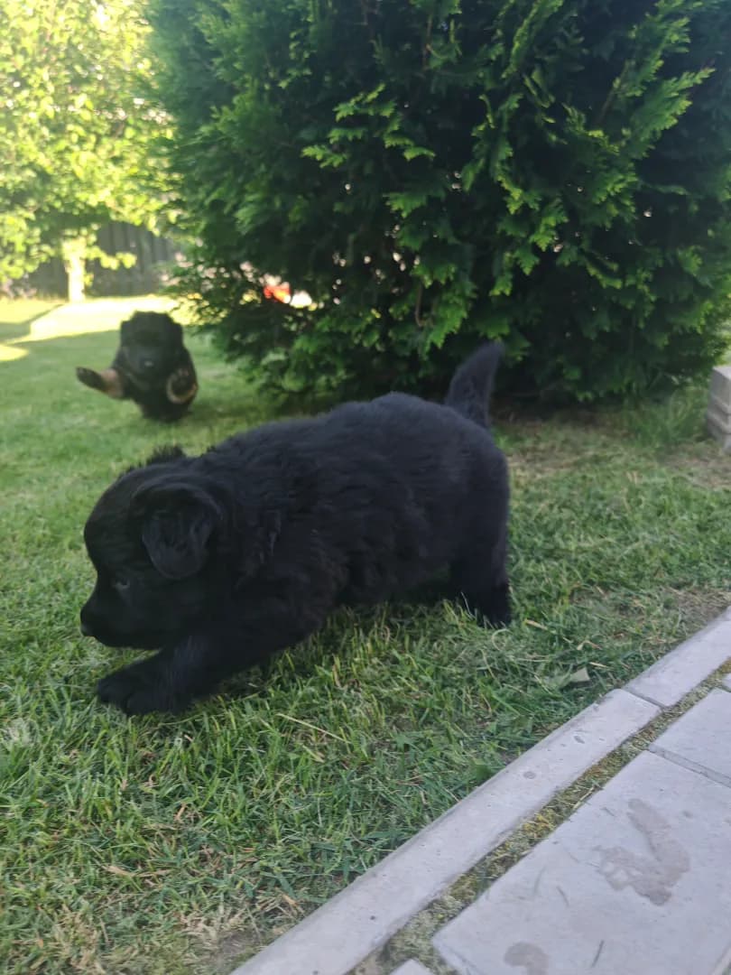 carousel-image-mobile-2