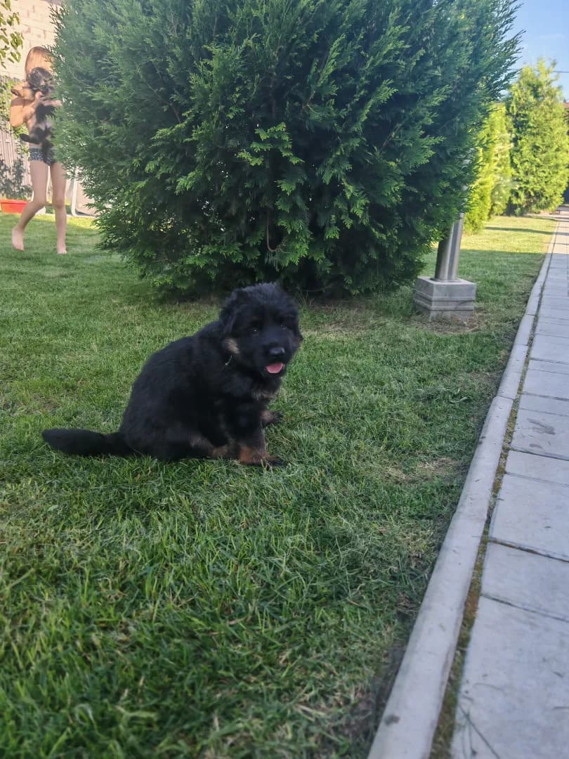 carousel-image-mobile-3