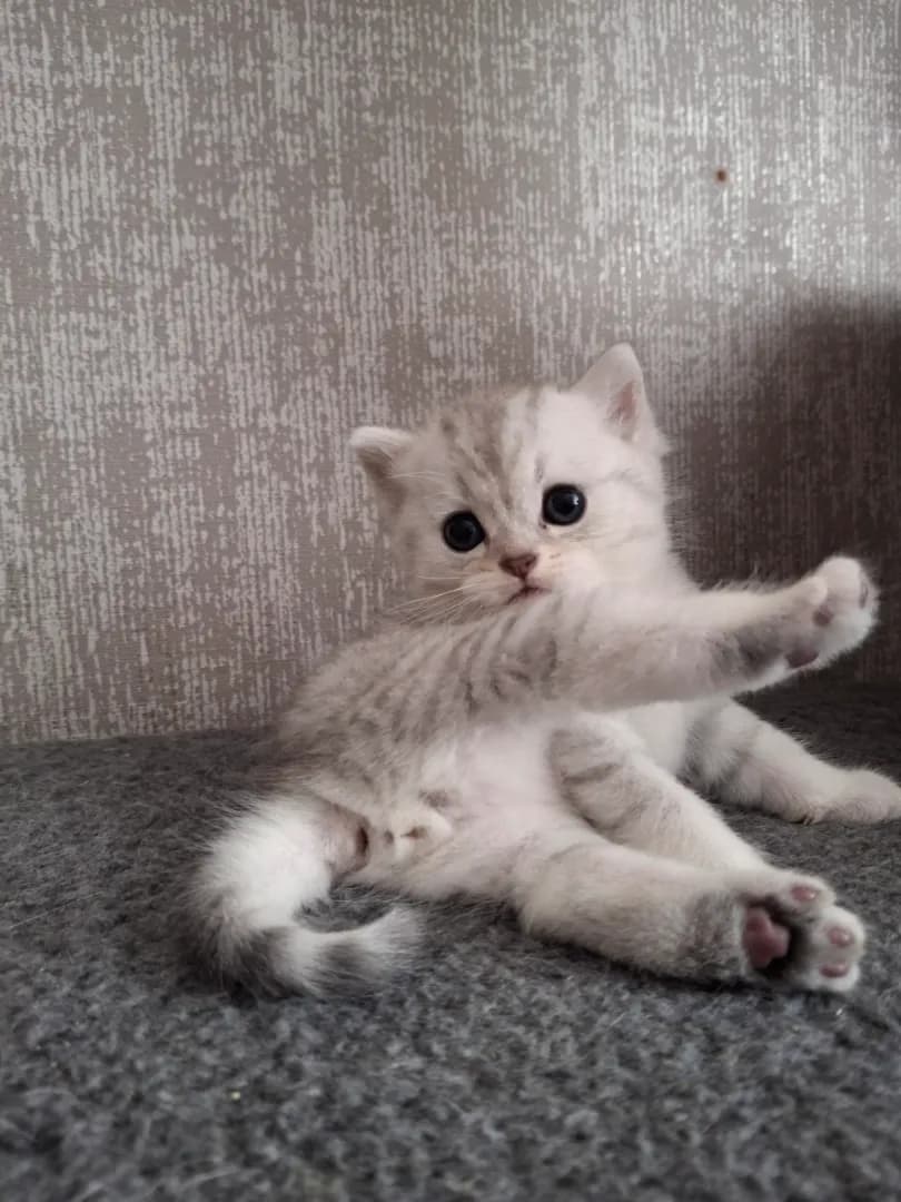 carousel-image-mobile-1