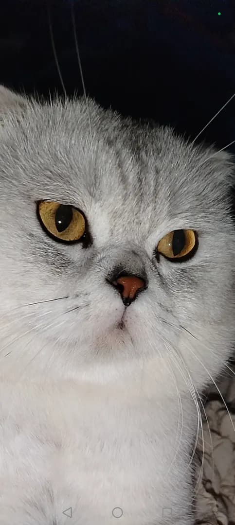 carousel-image-mobile-3