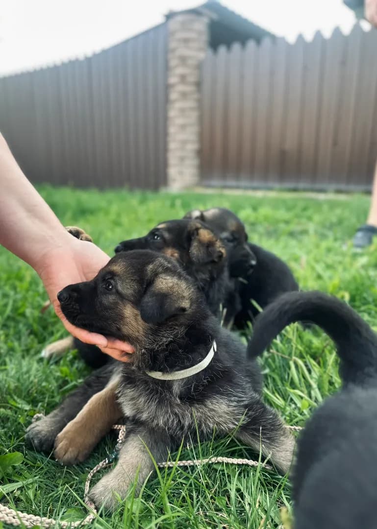 carousel-image-mobile-1