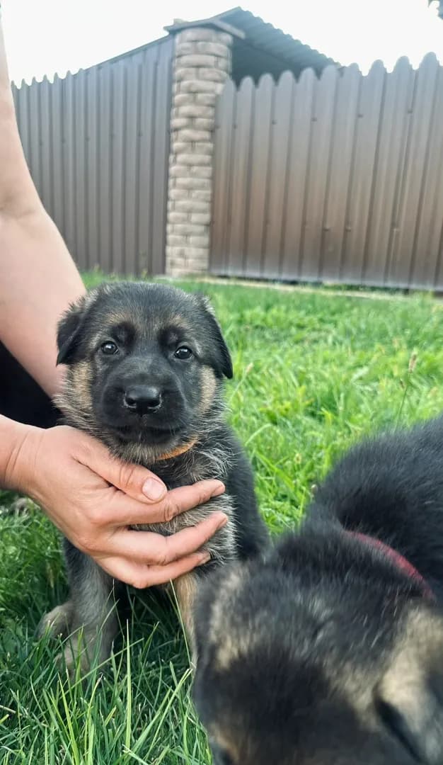 carousel-image-mobile-2