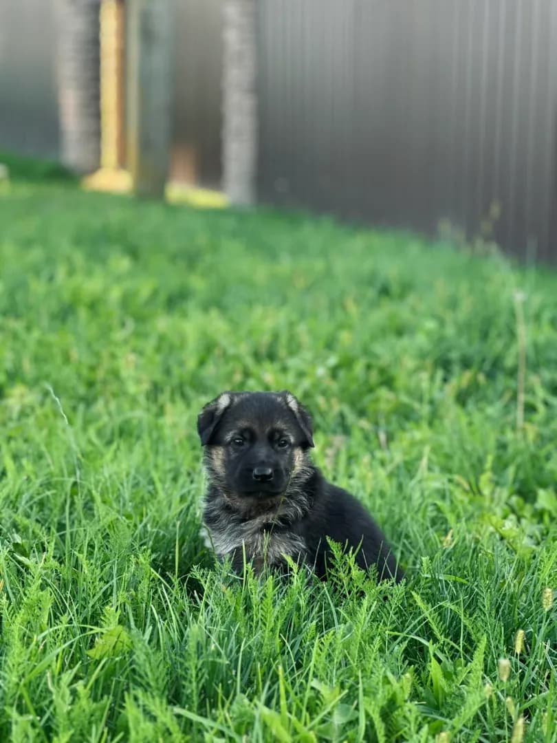 carousel-image-mobile-3