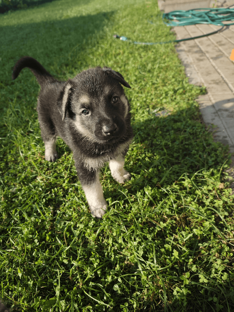 carousel-image-mobile-1