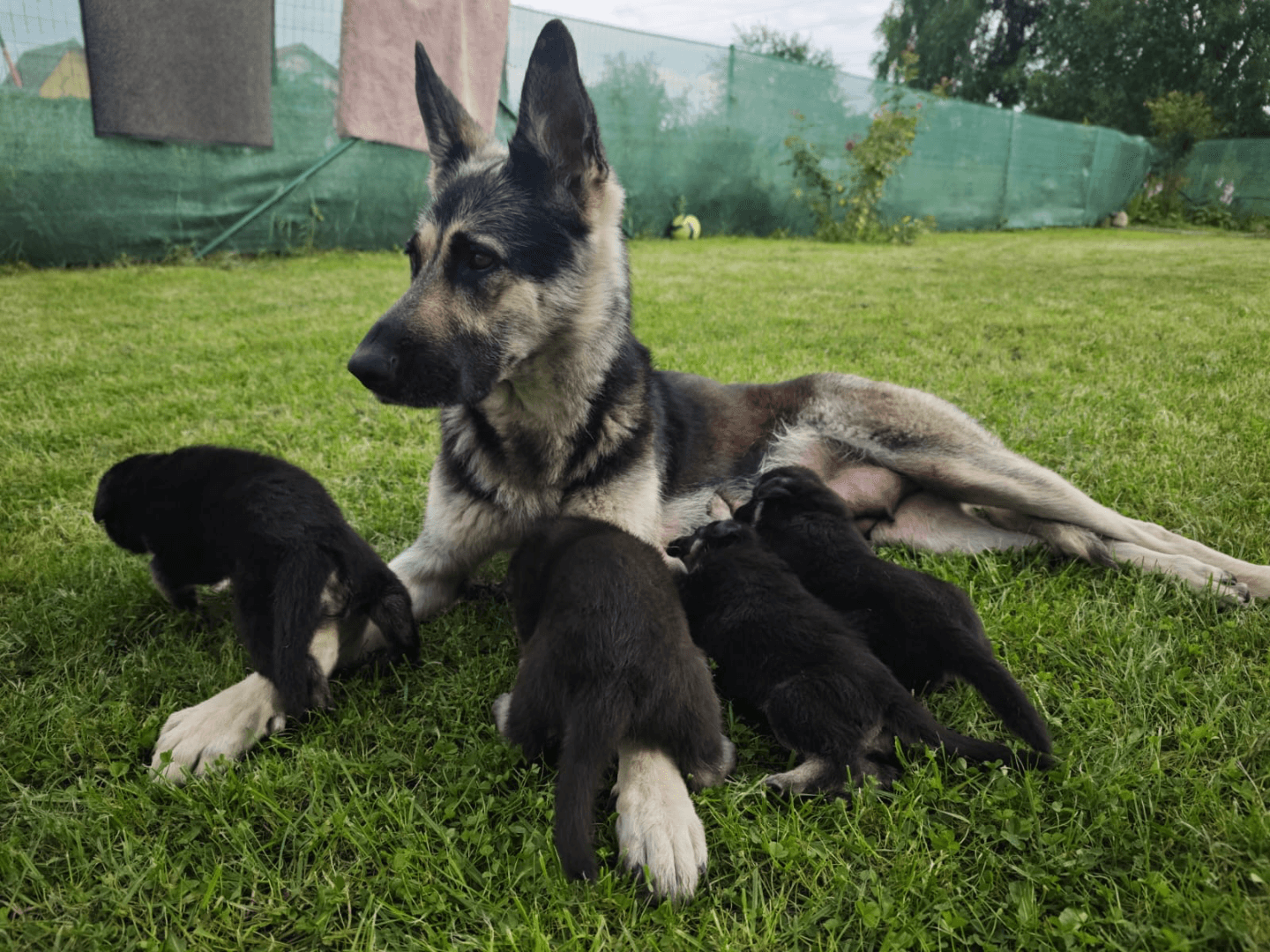 carousel-image-mobile-2