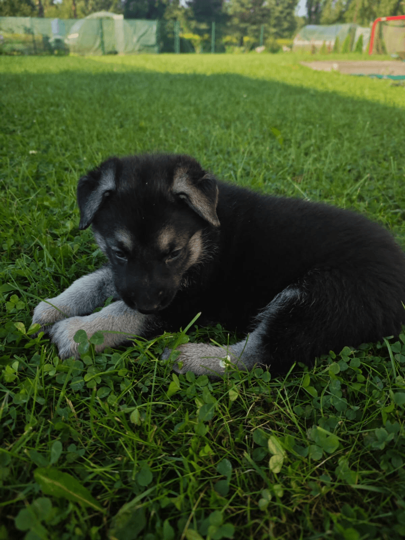 carousel-image-mobile-3