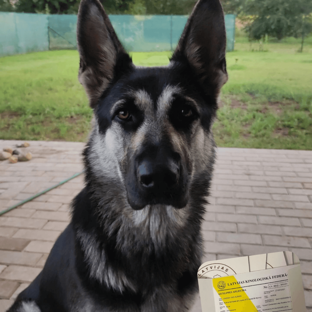 carousel-image-mobile-4