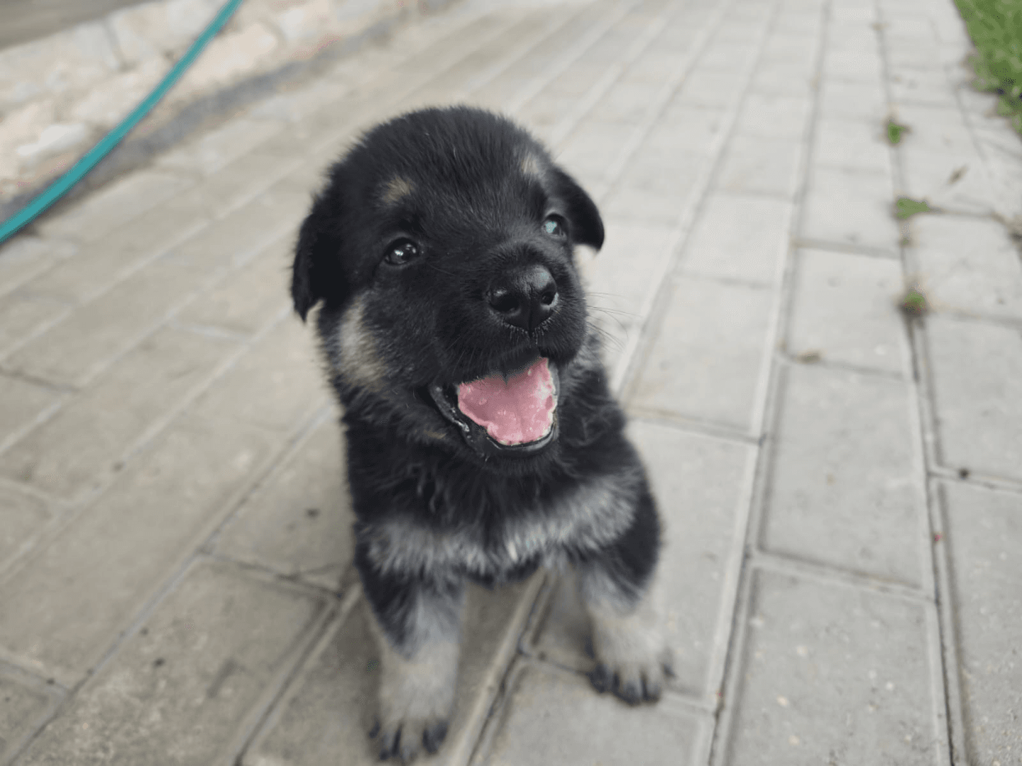 carousel-image-mobile-5